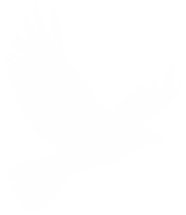 ENVOL logo